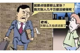 桐乡债务清欠服务